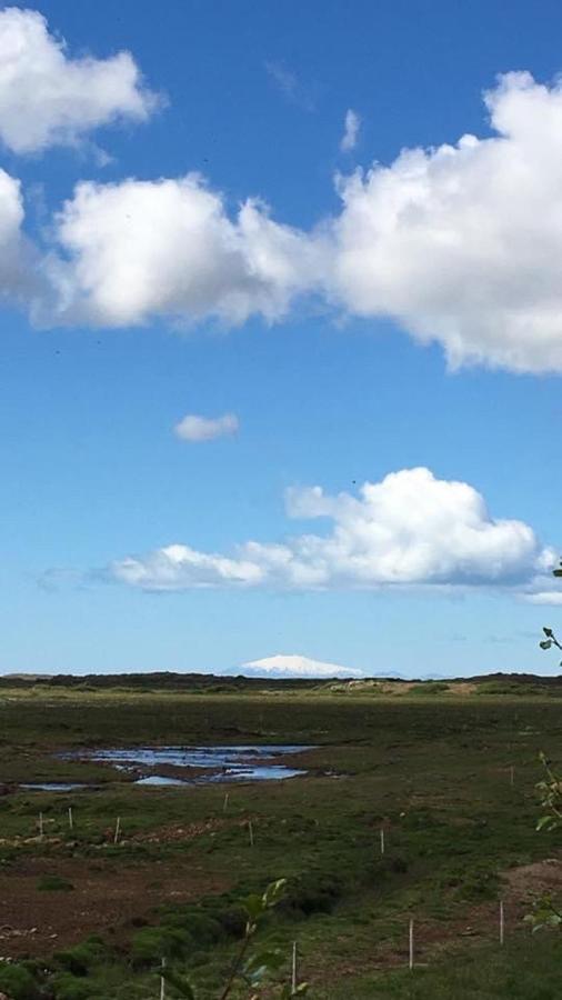 Alftartunga Farm Guesthouse Borgarnes Eksteriør bilde