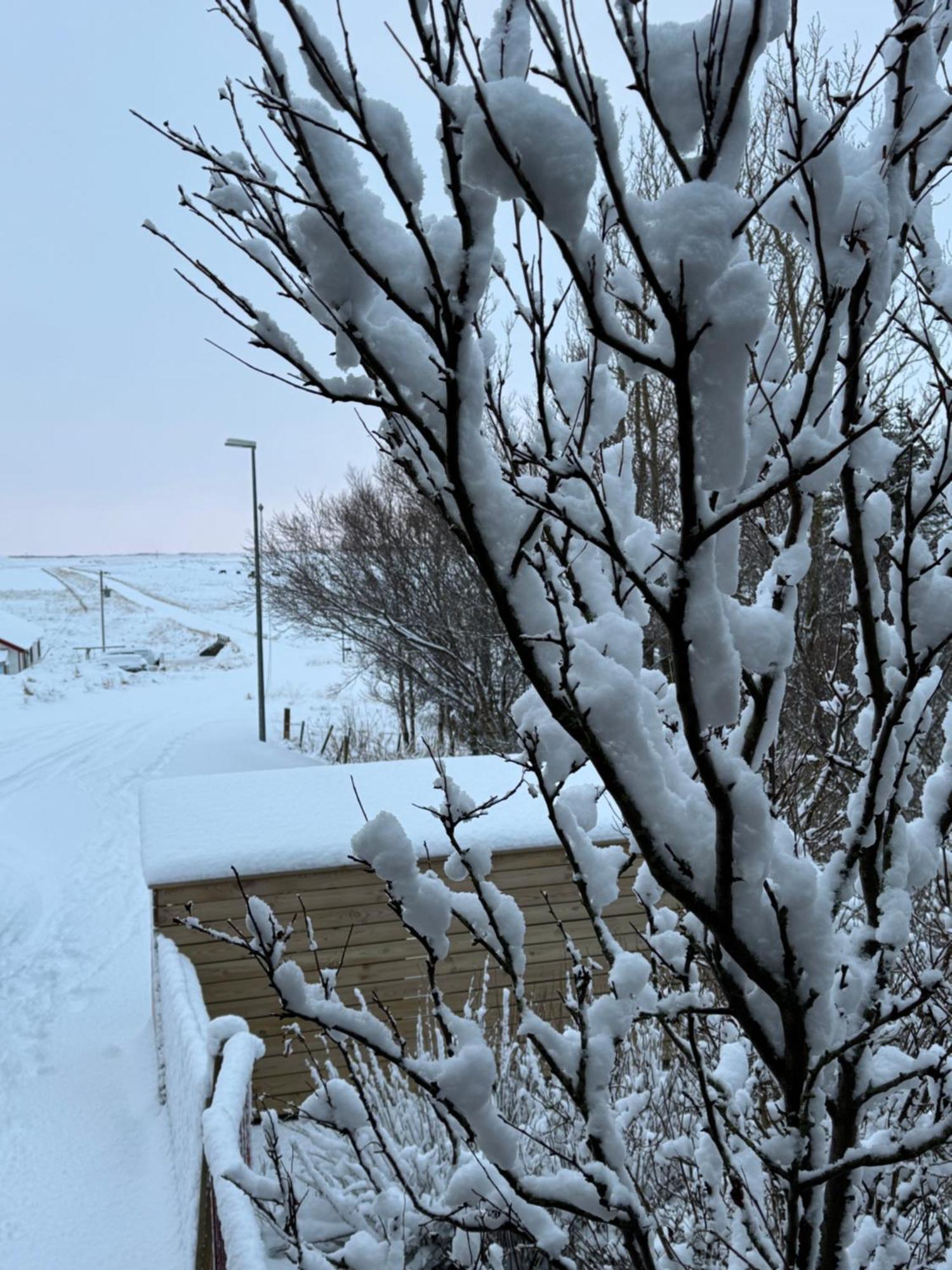 Alftartunga Farm Guesthouse Borgarnes Eksteriør bilde
